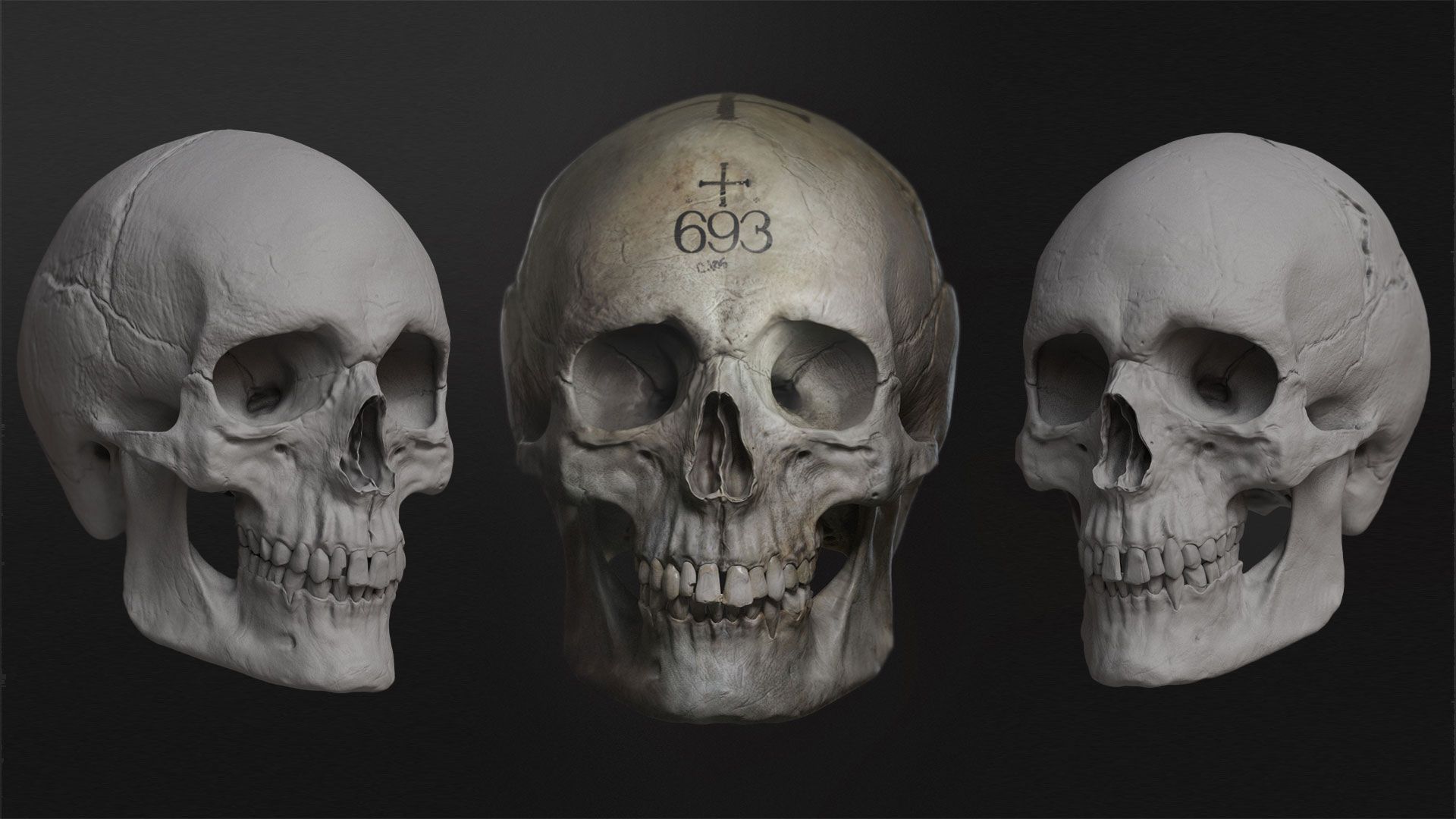 Sculpting the Human Skull